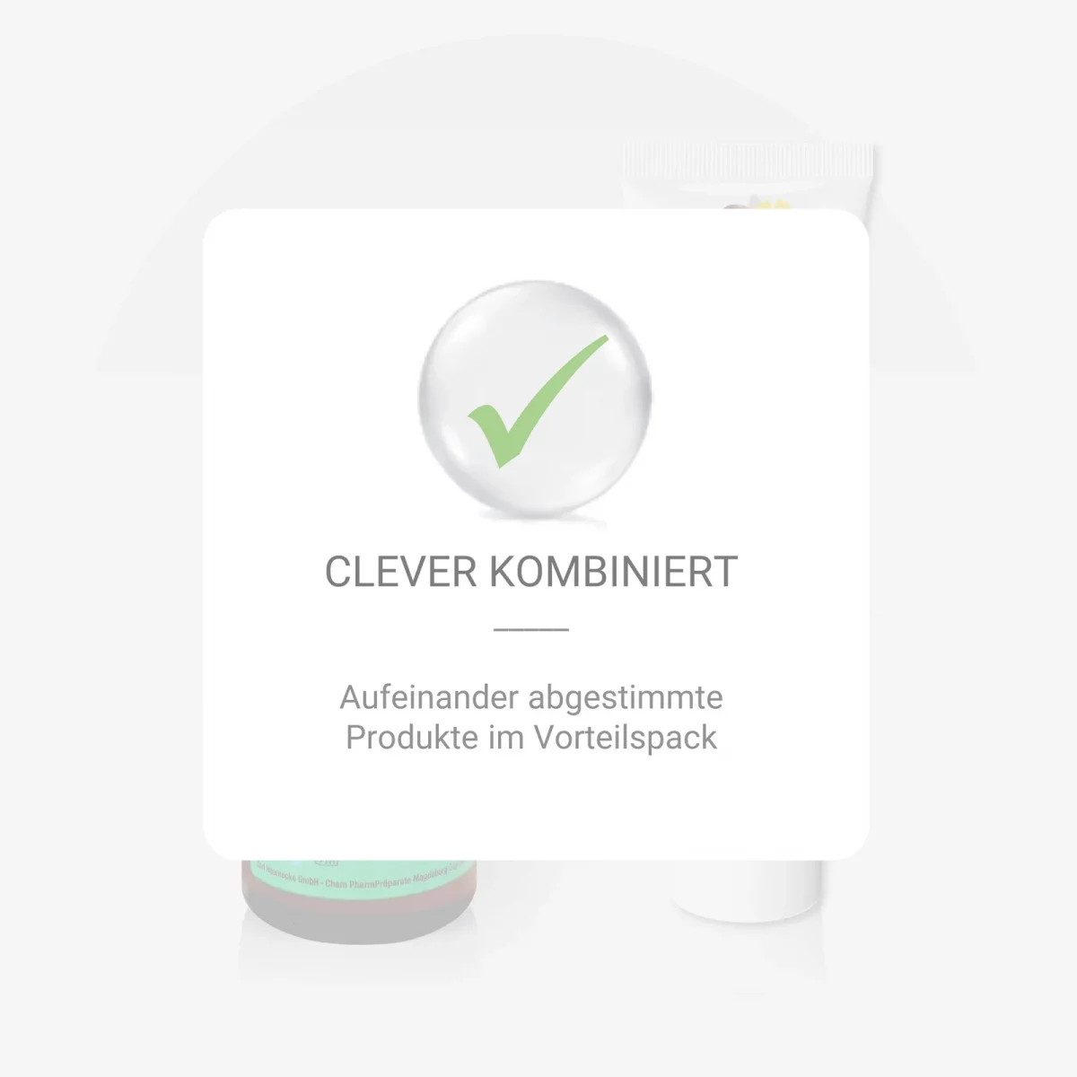 sek Produktfoto Bundle Hoevenol Beinpflege mit Rosskastanie