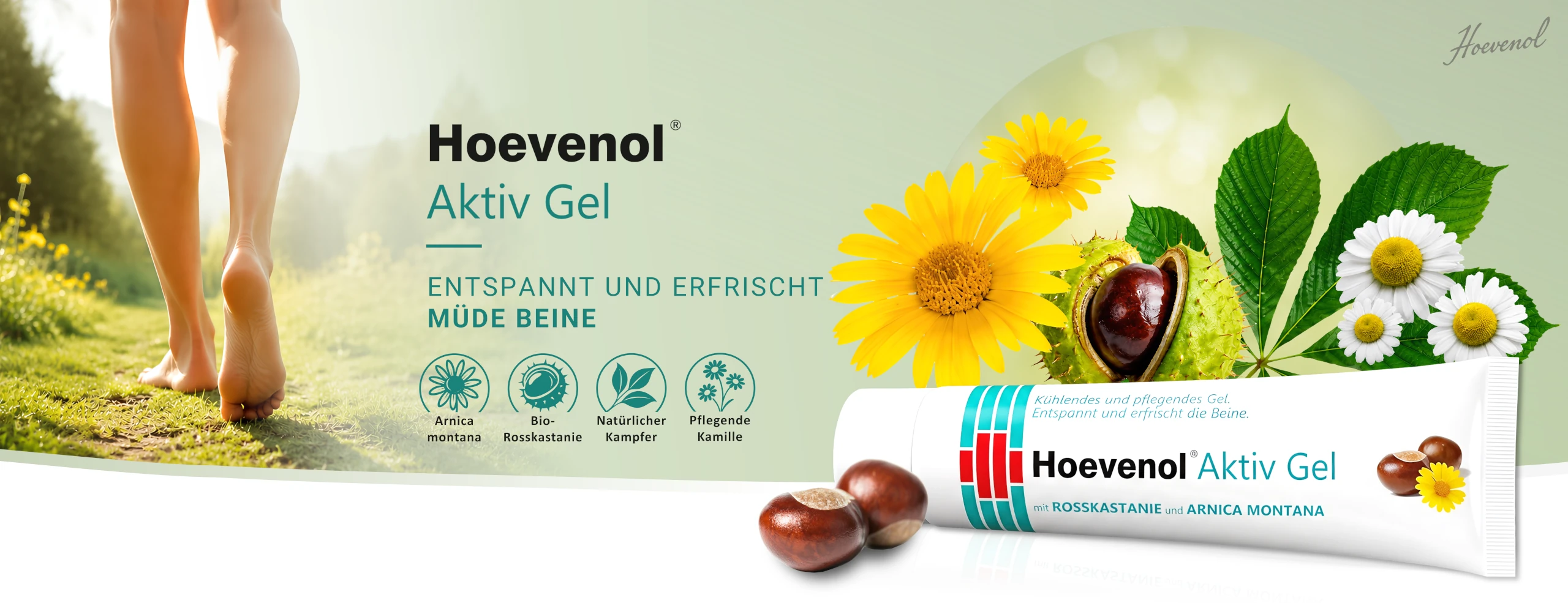 Hero Produktbild für Desktop. Hoevenol Aktiv Gel, Beine und Inhaltsstoffe mit Produktbild. Entspannt und erfrischt müde Beine